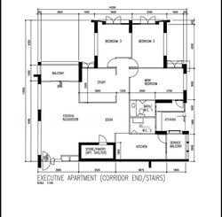 Blk 205A Compassvale Lane (Sengkang), HDB Executive #588541601